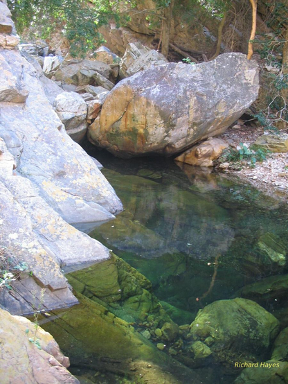 A photo of a shallow rock pool surrounded by white rocks. The water is very clear and the bottom of the pool can easily be seen through the green tinted water. Rocks that are under the water appear green
