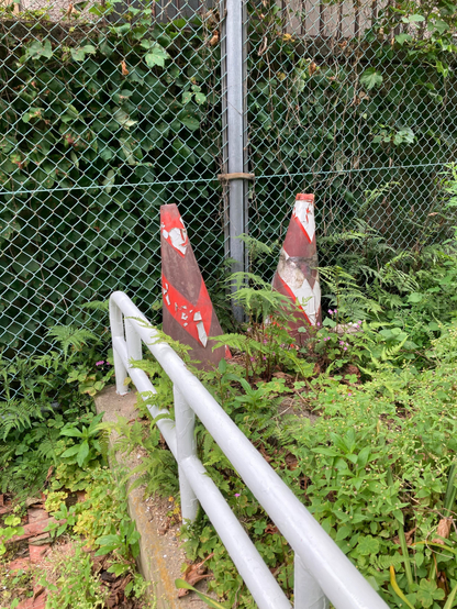 Two weathered traffic cones with red and white markings are situated against a green, leafy background, next to a gray railing. The setting appears overgrown with various plants.