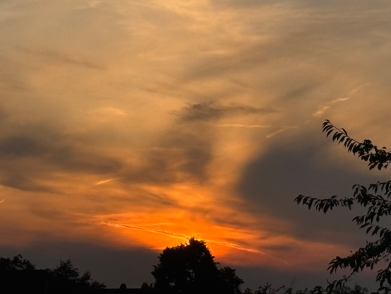 Am unteren Bildrand zeigen sich die Silhouetten von Bäumen, rechts ragen die Zweige eines größeren Baumes ins Bild. Dahinter zeigt sich der unterschiedlich orange gefärbte Himmel, der sich im mittleren unteren Teil intensiv gefärbt zeigt. Der teilweise von langgezogenen grauen Wolken verschleierte Nachthimmel wird nach oben heller. Die Sonne selbst ist mittig unten als verschwommener  Punkt hinter einen Baum orange glühend in Teilen zu sehen.