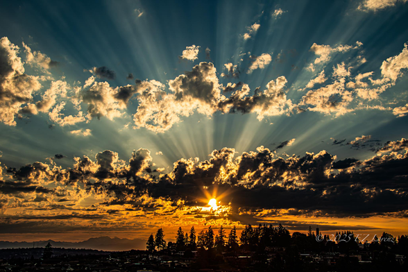 Golden rays of sunlight burst through scattered clouds, creating a dramatic sky over the silhouetted landscape of trees and houses of Bellevue, Washington with the Olympic Mountains in the background.
The blend of dark clouds and vibrant sunlight creates a stunning contrast, evoking a sense of calm and awe.