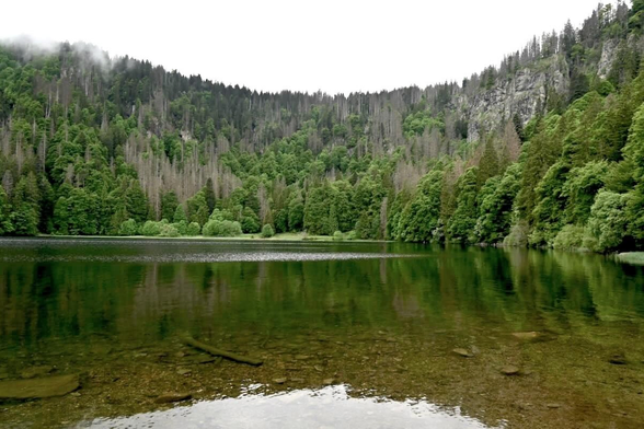 Feldbergsteig: Wanderung zum höchsten Schwarzwald-Gipfel.
