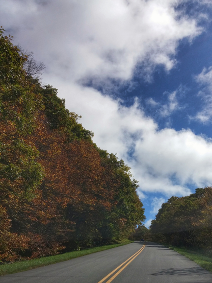 Blue ridge parkway road during fall with trees on either side
