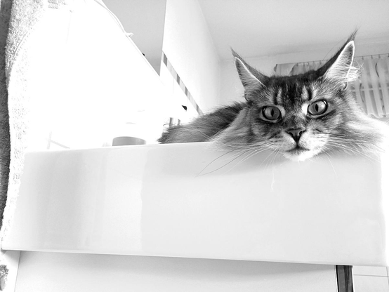 laundry day
monochrome image