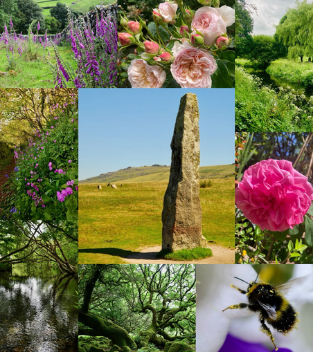A square collage with photos of a standing stone, roses, bees river s and wild flowers,