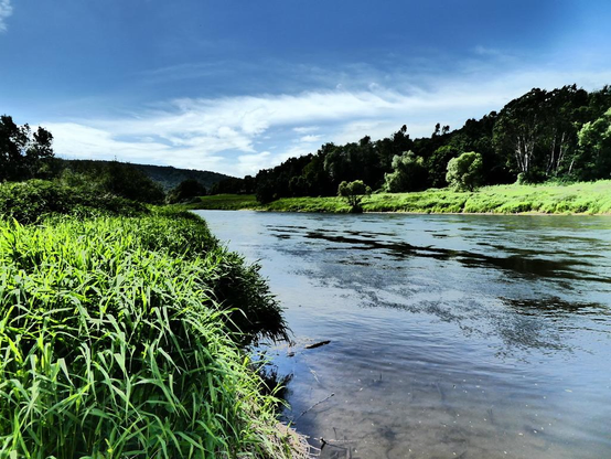 Die Weser kurz vor Bursfelde, wir blicken flußaufwärts.