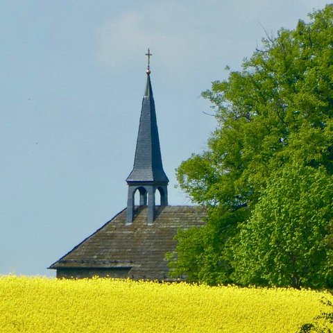Auf diesem Bild erkennen wir was Dach der Kirche von Hattensen, links davon ein frisch grüner Baum und im Vordergrund ein satt gelbes Rapsfeld.