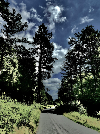 Vor uns liegt eine geteerte Straße, die durch einen lichten Wald führt; sie wird gesäumt von hohen Fichten und Laubbäumen. Die Dynamik des Wolkenspiels wird sichtbar. Vielleicht wollte die/der Fotograf:in mit dieser Filtereinstellung einen gewissen Eindruck oder ein bestimmtes Gefühl vermitteln, das die Ambivalenz dieses frühsommerlichen Idylls zum Ausdruck bringen könnte...