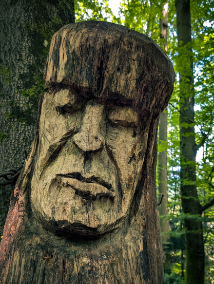 A human-like face carved into a tree trunk. The carving has a weathered, aged appearance, characteristic of wood that has been exposed to the elements. The face depicts an older individual with deep-set eyes, a prominent nose, and a downturned mouth, giving it a somewhat somber or contemplative expression. The details of the hair are carved to resemble a thick, somewhat messy bob cut, framing the face. The texture of the wood grain is very visible, adding to the rustic feel of the carving.

The wooden sculptures are part of the Skulpturenpfad by Thomas Rees near Freiburg.