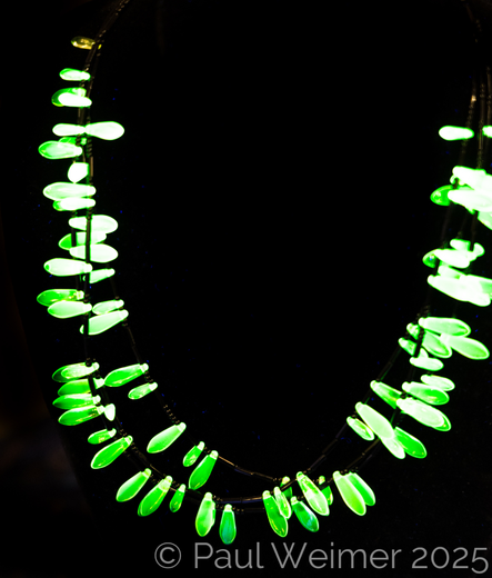 a ring of green ovals