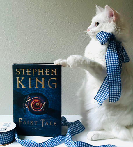 Blume, sitting upright, with her paw resting on the book, Fairy Tale by Stephen king. Checkered blue and white ribbon is around her and the picture itself. 