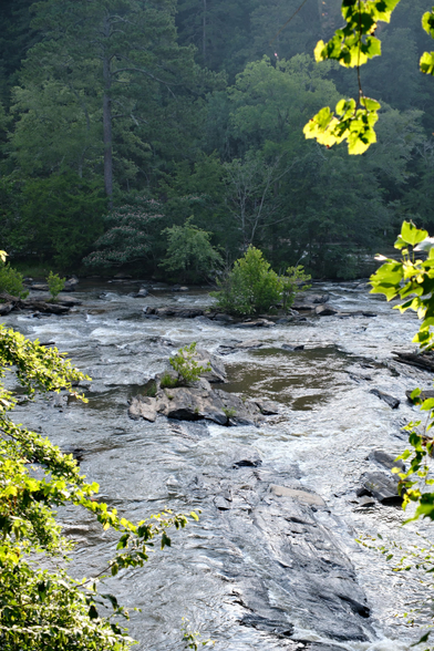 A view of a creek with full water cascading over rocks, green leaves lit by the morning sun on both sides, and woods on the other side of the bank