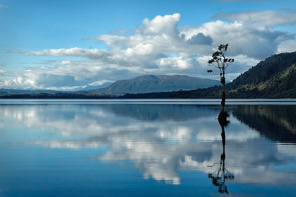 A mirror blank, blue lake with mountains in mid and back ground. A lonely tree sticks out of the water foreground to the right with its roots partially visible. Large Cumulus clouds reflect in the lake.