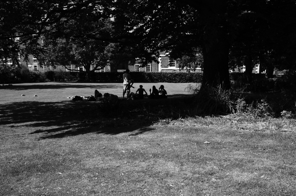 Group of teenagers in the shadow of a large tree