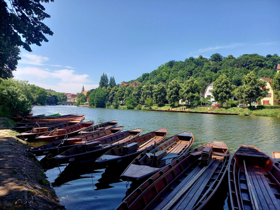 Kelkaj stangoboatoj ĉe la bordo de rivero Nekar. Videblas la malnova parto de la urbo en la fono.