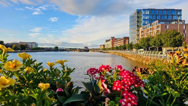 A vibrant riverside scene in Limerick, Ireland, bathed in the warm glow of late afternoon sun. In the foreground, colourful yellow and pink flowers are in bloom, framing a wide river. On the right bank, modern buildings with glass facades line the water, interspersed with trees, while the left bank shows more distant city architecture under a partly cloudy blue sky.