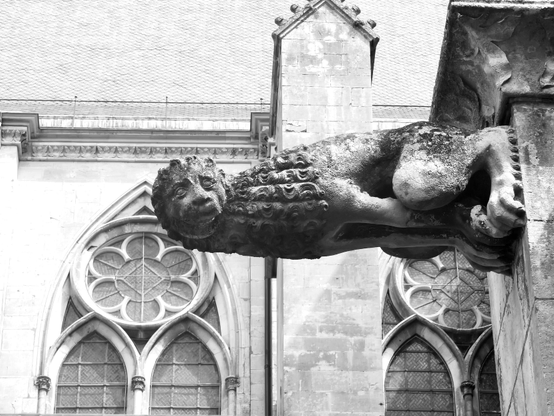 Gargouille du cloître de la cathédrale Saint-Étienne de Toul