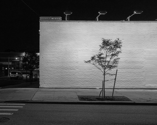 Black and white photo of the blank outer wall of a building at night. Made of bric, the wall is painted white. There is a scraggly tree planted in the sidewalk in front of it. At the top corner is a sign that reads, “OVERALL MURALS.”