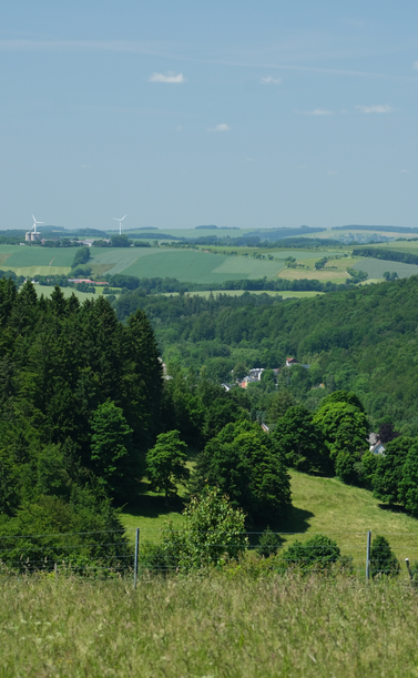 Hochkantfotografie einer Berglandschaft. Im Vordergrund im unteren Bildfünftel ist eine grün-gelbliche Wiese zu sehen, die aber nicht im Fokus ist. Sie endet in einem Maschendrahtzaun, der von links nach rechts durchs Bild geht. Dahinter sind viele dunkelgrüne Bäume zu sehen, die an einem Berghang stehen, der von links leicht abfällt. Zwischen den Bäumen im rechten Bildteil ist wiederum Wiese zu sehen. Hinter dem Berghang folgt der nächste, diesmal von rechts, der ebenfalls dicht mit Bäumen bewachsen ist. Dazwischen sind einzelne Dächer von Häusern zu sehen. Dieses Landschaftsbild setzt sich bis in die Ferne fort, bis an den Horizont, über dem ein blassblauer Himmel mit einzelnen, kleinen, weißen Wölkchen steht. Links sind nahe am Horizont zwei Windräder zu sehen.