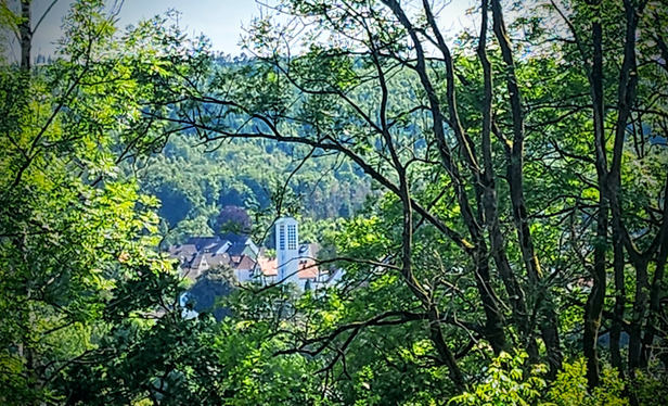 Zwischen den Baumkronen sieht man im Tal einen Ort. Ein schlanker weißer Turm überragt die Häuser.