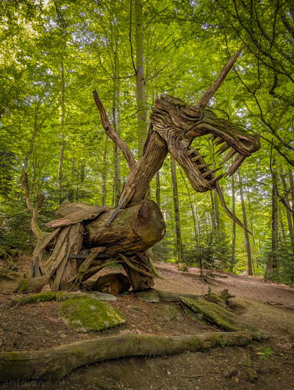 A large, wooden dragon sculpture situated in a vibrant, sun-dappled forest. The sculpture, crafted from various pieces of natural wood and logs, including a large tree trunk for its body, dominates the lower half of the frame. Its head, sculpted with an open mouth and visible teeth, is particularly detailed and faces towards the right. Pieces of wood are used to suggest horns or spikes on its head and back. The forest itself is lush and green, with tall trees, mostly deciduous, forming a dense canopy that allows patches of sunlight to filter through and illuminate the scene, creating a sense of depth and ethereal light. 

The wooden sculptures are part of the Skulpturenpfad by Thomas Rees near Freiburg.