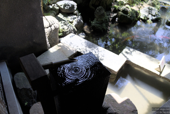 The garden in Nomura-ke, Kanazawa, Ishikawa, Japan.