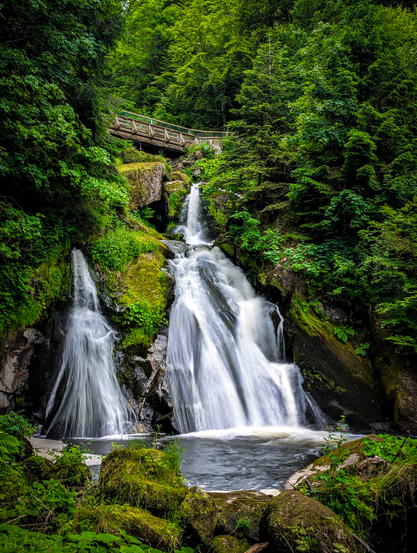 A multi-tiered waterfall cascading down a rocky, moss-covered incline, surrounded by a lush, dense forest. The water appears white and frothy as it tumbles over the various drops, due to a long exposure setting, blurring the movement of the water. The rocks around the waterfall are vibrant with green moss and various plants. Tall, dark green coniferous trees dominate the background and frame the waterfall on both sides. A wooden bridge crosses the falls at the top.

The Triberg Waterfalls is one of the highest waterfalls in Germany and a landmark in the Black Forest region. 