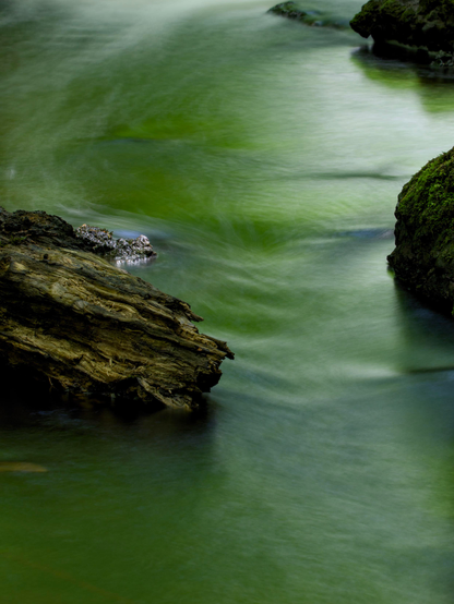 A stream flows between a fallen tree stump and rocks, reflecting the green of the canopy above in the water, which has been smoothed out by using a long exposure 