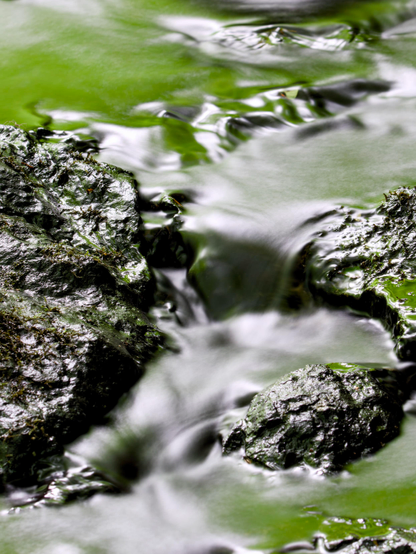A close-up image showing water running between wet rocks, the flow is silvery like mercury and also green from the leaves in the canopy above, which are also caught in the water on the rocks