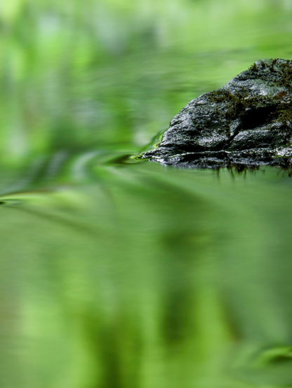 A stream flows past mossy rocks, reflecting the green of the canopy above in the water, which has been smoothed out by using a long exposure 