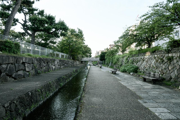 堀川沿いの遊歩道。写真のあたりで二条通付近で、目の前に見えているのが一筋北の夷川通に架かる橋。/ 2025.06.28 堀川から