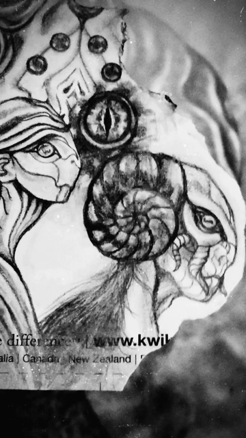 A short video comparison of an early stage doodle to full scale black and white pencil drawing.