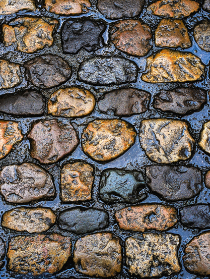 A top-down, close-up shot of wet cobblestones. The stones are irregular in shape and size, predominantly rounded, and fit together with a dark grout or sand in between them. The wetness intensifies the colors of the stones. Many are shades of brown and earthy tones, ranging from light tan to darker, almost reddish-brown. There are also several dark grey and black stones. Some stones exhibit hints of orange, yellow, and even a bluish or greenish tint, especially where the light reflects off the wet surface.