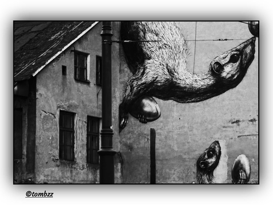A black-and-white photograph of urban architecture featuring an old, decaying building with a mural as the central focal point. In the center of the frame stands a pole that partially obstructs the view of the mural. The mural depicts two animals resembling weasels or ferrets — a larger one at the top with a curved neck, holding something in its front paws; and a smaller one below, also in a grasping pose. To the left, there is a building with a pitched roof and rectangular windows. The facade shows signs of age and deterioration.