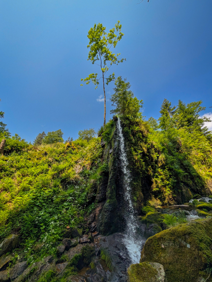 A vibrant natural scene dominated by a waterfall cascading down a lush, green, rocky incline under a bright, clear blue sky. The waterfall, positioned slightly to the right of the center, tumbles over a dark, moss-covered rock face, creating a white, foamy stream of water. The rocks surrounding the waterfall are covered in varying shades of green moss and small plants.
Above the waterfall, a single, tall, slender tree with bright green foliage stands prominently against the blue sky. 
