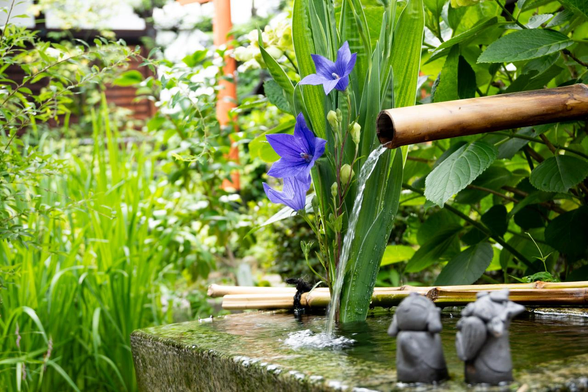 手水鉢と添えられたキキョウ。画面手前、手水鉢の縁にはお地蔵さんのミニチュアも飾られている。/ 2025.07.02 宝蔵寺から