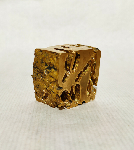 Another view showing the bark and the interior tunnels in a more clear way, with two polished sides