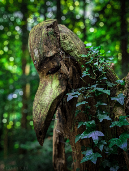 A wooden sculpture resembling a bird's head, deeply integrated into a lush green forest environment. The sculpture is made from a gnarled piece of wood, showing natural textures and cracks, with hints of moss or green discoloration in its crevices. The most prominent features of the sculpture are a long, downward-curving beak and what looks like an eye socket, giving it a distinct, almost solemn or watchful expression. To the right of the wooden head, a vibrant green ivy grows, wrapping around the natural contours of the wood. 