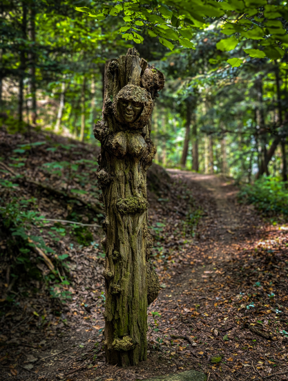 A tree trunk that has been carved to depict a stylized, somewhat grotesque, human-like figure. The carving is most prominent near the top of the trunk, featuring a face with what appear to be large, rounded eyes and a wide, possibly grinning, mouth. Below the face, there are two distinct, rounded protrusions that resemble breasts, and further down the trunk, several natural burls and knots on the wood contribute to the organic and somewhat gnarled appearance of the figure. The tree trunk itself is dark brown and appears to be covered in patches of green moss or lichen. The carving is set against a blurred, natural background of a forest. 
