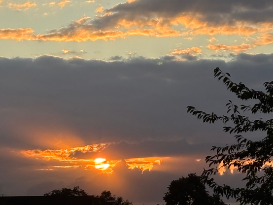 Am unteren Bildrand zeigt sich in der Silhouette die Spitze eines Baumes, rechts die Äste und Zweige eines großen Baumes. Dahinter zeigt sich der im unteren Teil orange gefärbte Himmel, der im mittleren Teil von einer grauen langgezogenen Wolke bedeckt wird. Am oberen Bildrand zeigt sich noch der blaue Nachthimmel. In der Wolke  scheint die Sonne und färbt den Himmel, vor allem über ihr, goldorange. Ihre Strahlen verteilen sich über das Bild.