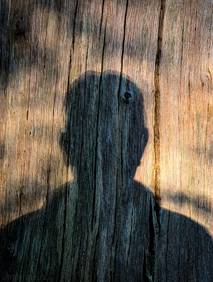A person's shadow cast upon a wooden surface. The tree trunk displays prominent vertical grains, cracks, and knots, indicating its natural or aged state. The color of the wood is a warm, earthy reddish-brown tone. Dominating the center of the frame is the dark, silhouetted shadow of a person, seen from the chest up. The shadow shows the distinct outline of a head, shoulders, and a portion of the upper torso. The details within the shadow are obscured by its darkness, but the texture of the wood beneath it is still visible, giving the shadow a textured appearance rather than a flat black.