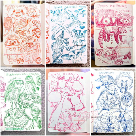 Compilation of 6 photos of sketchbook pages. Top row consists of sketches of hedgehogs, sugar gliders and red pandas. Bottom row consists of drawings of burrowing owls, ducks and armadillos.