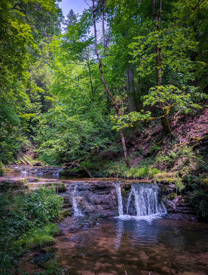 A lush green forest scene featuring a multi-tiered waterfall cascading over dark rocks into a clear stream. The vibrant green foliage dominates the upper and left sides of the image, with sunlight dappling through the leaves, creating varying shades of green and some bright highlights. The waterfall, positioned in the lower center, is the focal point. It consists of several small drops, with the most prominent one on the right creating a visible white flow of water. The water in the stream below is clear enough to show the rocky bed beneath, with some areas reflecting the light.