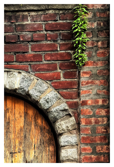 A photo in warm hues of red, gray and brown (with some green from a plant), emphasizing the textures of some elements of an old building facade. A portion of a weathered wooden door with vertical planks, framed by an archway of rough stone blocks, occupies the lower left quadrant of the picture. Around it is a wall of red bricks set in thick gray mortar, with a brick pilaster projecting slightly out at right frame. A leafy vine hangs partway down the pilaster’s left edge. 