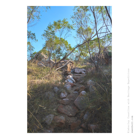 Bush track on Jar Island