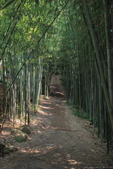 Baegundong Garden, Gangjin, Jeollanam-do, Korea.