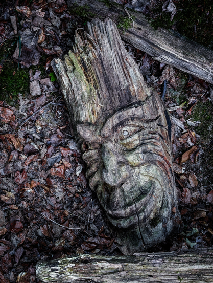 A weathered wooden carving of a face, lying on a bed of dark, dried leaves and decaying natural debris. The carved face is prominent in the center of the image, made from a section of a thick tree branch. It has a rough, rustic texture with visible wood grain and cracks. The color palette is dominated by earthy tones: various shades of brown from the wood and leaves, dark greens from moss that can be seen clinging to parts of the wood and ground, and hints of darker, almost black areas in the shadows. 