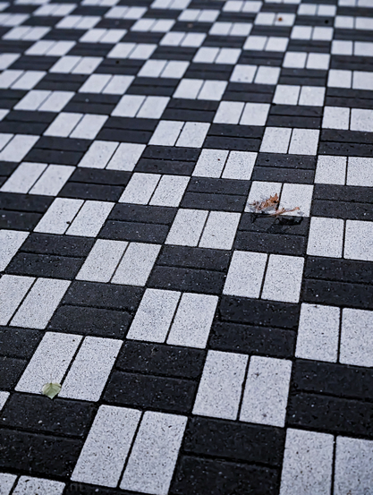 A checkerboard-patterned paved surface. The pavers are rectangular and arranged in alternating black and white squares. The perspective is looking down and slightly across the surface, with the checkerboard pattern extending into the background, where it becomes less distinct due to the shallow depth of field. There are a couple of small, dried leaves on the surface; one, a reddish-brown, is centrally located in the midground, and another, smaller and green, is partially visible in the bottom left corner.