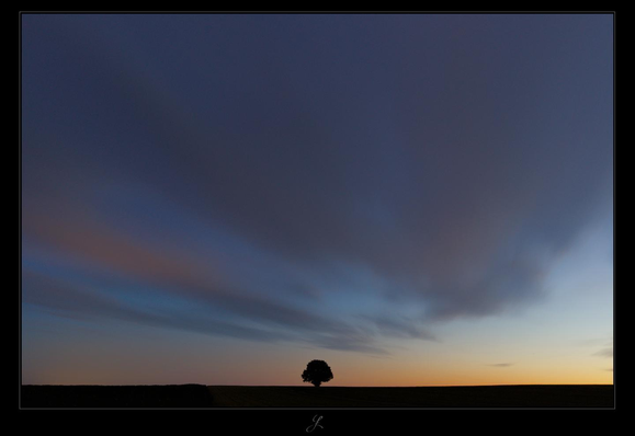 A long exposure in landscape format, taken at dusk. The black silhouette of a tree stands on the horizon, fields can be glimpsed below - everything is almost black. Above the horizon, there is the sky. Soft, elongated, light gray clouds gently drift across the pastel-colored sky. The colors fade from yellow-orange near the horizon to turquoise to a darker blue. Some of the clouds have a soft orange-pink color. 

AI disclaimer: Using my work, its meta data, written or derived description to create media with or train AI based systems is prohibited.