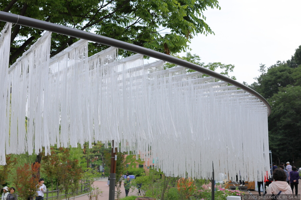 Boramae park, Seoul, Korea.