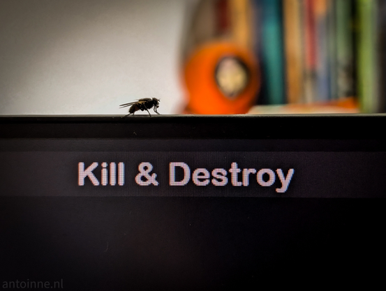 A fly perched on the top edge of a black screen. The screen displays the white text "Kill & Destroy" in a pixelated font. The fly is positioned on the left side of the screen, facing right, with its body and legs clearly visible. The background is out of focus with books and other decorative items on a shelf.